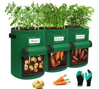 Airminti 3-Pack de 10 galones de patatas para plantas, bolsas con asas estables y solapa visualizada, macetas de fieltro gruesas y transpirables con guantes de jardín para tomates, patatas (verde)