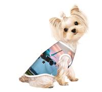 Airplane In The Evening Lights - Camiseta para mascotas, sin mangas, para cachorros pequeños, gatitos, uso en interiores y exteriores