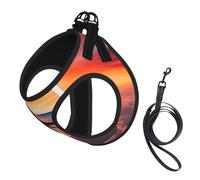 Airplane Sunsets Sky Print - Chaleco reflectante ajustable de malla suave transpirable para paseos diarios