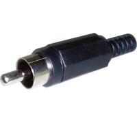 Airspace VID-77 VID-77 Conector RCA