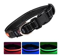 AirTag - Collar para Perros, Ajustable, Compatible con AirTag con Tiras Reflectantes, Forro Suave para pequeño, Mediano, Grande, Chico, niña, Perro (Rojo, M)