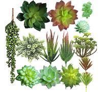 Aisamco 14 Suculentas Artificiales Variadas | Cadena perlas, Lagrimas amor, Echeveria, Jardin hadas costero, Decoracion hogar, Planta desierto, Falso pero realista