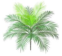 Aisamco Arbusto de hoja de palma tropical artificial Planta artificial en verde 1 pieza Plástico Areca Palmera Planta 15 Hojas 63 cm de alto para vegetación tropical Acento Arreglo floral