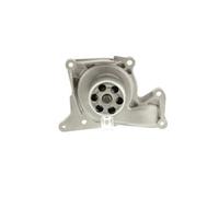 AISIN Bomba de agua para RENAULT: Captur, Duster, Twingo, Mégane, Kangoo, Clio, Scénic, Talisman, Fluence, Laguna, Latitude, Modus (Ref: WE-RE05)