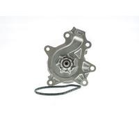 AISIN Bomba de agua para TOYOTA: Avensis, Verso, RAV4 (Ref: WPT-195)