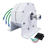 AISINILALAO 10.000 W Alternador De Tres Fases para Uso Doméstico Generador Eléctrico De Imán Permanente, 12V 24V 48V 220V, con Controlador De Turbina Eólica Horizontal Vertical (Blanco),48v