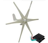 AISINILALAO 48v, Kit de Generador Eólico Sin Ruido 12000W, Turbinas Eólicas Horizontales de 12V 24V 48V para Hogar, Molino de Viento para Energía y Carga (Blanco)