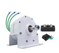AISINILALAO Generador de imán Permanente sin Engranajes del hogar 14000W 220V, alternador de CA de energía Libre de 3 Fases 12V 24V 48V para la conservación del Agua y la energía eólica,12V