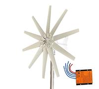 AISINILALAO Kit Generador de Turbina Eólica de 5500W 12V 24V 48V Sin Ruido con 10 Aspas, Motor de Turbina Eólica Vertical con Kit de Controlador de Carga para Uso Doméstico (Blanco),48v
