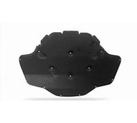 Aislamiento automóviles Aislamiento Acústico Térmico Del Motor Capó Delantero Para Serie 5 G30 F90 Para M5 2018-2022 Almohadilla Algodón Alfombrilla Insonorizante Almohadilla aislant