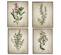 AIVYNA CláSico Retro BotáNico Pintura En Lienzo Vintage Antigua BotáNica Flor Poster E Impresiones Arte De La Pared Cuadros Hogar Sala De Estar DecoracióN Sin Marco 30×40cm×4 Piezas