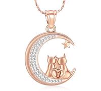 AIWENXI Colgante de ceniza de luna de cristal para hombres mujeres amor gato memorial cremación joyería de acero inoxidable recuerdos para mascotas collares, Acero inoxidable