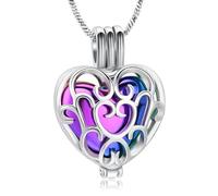 AIWENXI Collares de cremación hueca de corazón para hombres y mujeres, collares de urna para cenizas de acero inoxidable para mascotas, joyería de cremación para mascotas, recuerdo de memoria humana,