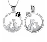 AIWENXI Mini perro en forma de cremación joyería para cenizas perro forma urna collar para mujeres hombres acero inoxidable cristal redondo recuerdo ceniza colgante, Acero inoxidable