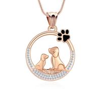 AIWENXI Mini perro en forma de cremación joyería para cenizas perro forma urna collar para mujeres hombres acero inoxidable cristal redondo recuerdo ceniza colgante, Acero inoxidable