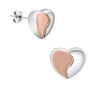 AIWENXI Pendientes de urna de corazón pequeño con cremación para cenizas, cenizas de mascotas, cenizas conmemorativas, pendientes, joyas, recuerdos, joyas para hombres y mujeres, 0.51in*0.51, Acero