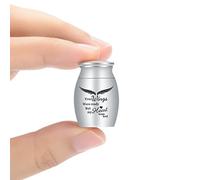 AIWENXI Urna pequeña para cremación - Keepsake para personas o mascotas - Soporte para cenizas conmemorativas (alas plateadas)