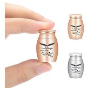 AIWENXI Urnas pequeñas de cremación para cenizas, urnas de cremación para cenizas humanas o mascotas, soporte de cenizas conmemorativas de acero inoxidable, 2 juegos (plata + oro rosa)