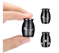 AIWENXI Urnas pequeñas - Urnas de cremación súper mini para cenizas humanas o de mascotas, soporte conmemorativo de acero inoxidable para cenizas