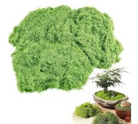 AIXIMA Espuma Artificial para Decorar, 100g Musgo Artificial Decoracion, Espuma Artificial Decorativa para Bricolaje, Musgo Artificial para Belenes