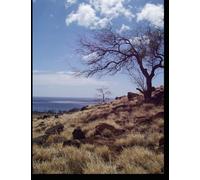 AIYEDE: The 19th Century Ekiti City of Refuge