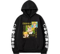 AIYINIY The Seven Deadly Sins - Sudadera con capucha con estampado de anime, Meliodas, para hombre, casual, para cosplay (tipo 1, L)