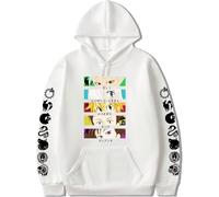 AIYINIY The Seven Deadly Sins - Sudadera con capucha con estampado de anime, Meliodas, para hombre, casual, (tipo 8, XL)