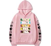 AIYINIY The Seven Deadly Sins - Sudadera con capucha con estampado de anime, Meliodas, para hombre, informal, para cosplay (tipo 9, M)