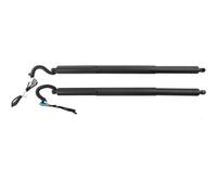 AJHJET 2 Piezas para F25 para X3 2011-2013 2014 2015 2016 2017 51247232003 51247232004 LH+RH Soportes Elevación Eléctrica Portón Trasero Portón Trasero Elevador