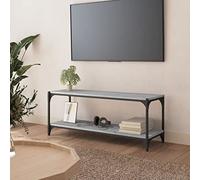 AJJHUUKI Sonoma - Mueble de TV gris 100 x 33 x 41 cm, muebles de madera y acero, centros de entretenimiento y soportes de TV