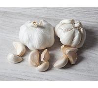 Ajo de siembra seleccionado blanco 500gr - Wam