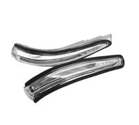 AJOHBM Para Hyundai Para Santa Fe 2013-2016 Indicador De Espejo Lateral Repetidor De Señal De Giro Luz Intermitente 876132W000 876232W000 (1 Pair)