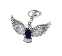 AJTUTUS Llavero de aleación resistente con diseño de ala de halcón y ojos brillantes, acabado vintage, accesorio de uso diario, llavero con diseño de halcones, Negro, Talla única
