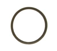 AJUSA 00843000 Junta termostato