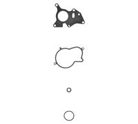 Kit de juntas de la bomba de inyección 77031700 AJUSA para CITROËN DS FORD OPEL