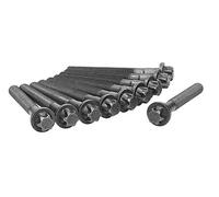 AJUSA 81028100 Juego de tornillos de culata