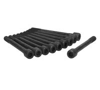 Ajusa Juego de tornillos de culata 81029900