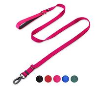 Ajustable Entre 110CM y 180CM Correa Larga (Nuevo Diseño 2019) con Mango Acolchado Confort y Correa de Nylon Resistente - para Perros pequeños (Pequeño S, Rosa roja)