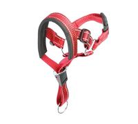 Ajuste for bozal de Perro, Cuerda de Plomo for adiestramiento al Aire Libre, Control de guía de Cuerda, Malla portátil, bozal for Perro, Collar for Perro (Color : Red, Size : XL)