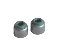 Ajuste for XT225 TW200 225 YP250 MAJESTY YP1 AG200 200 guía de vástago de motor de motocicleta Enine piezas de repuesto(Oil seal)