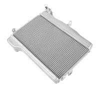 Ajuste para Tenere 700 2019-2025, radiador de motor de aleación de aluminio, Enfriador de refrigeración, tanque de agua para motocicleta Intercooler coche Radiador intercooler(Silver)
