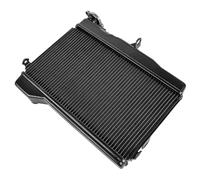 Ajuste para Tenere 700 2019-2025, radiador de motor de aleación de aluminio, Enfriador de refrigeración, tanque de agua para motocicleta Intercooler coche Radiador intercooler(Black)