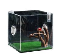 Ajving Spider Cube, contenedor de reptil de vidrio transparente - Terrario acrílico para saltar el crecimiento de las arañas | Caja de reproducción de animales pequeños con agujero de respiración para