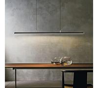 AJYBYUKJ Lámpara Colgante LED Moderna con Control Remoto Luz Colgante de Altura Ajustable para Mesa de Comedor Comedor u Oficina Blanco 32W 80cm (Negro L120cm/48w) Beauty Comes