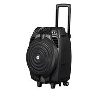 Akai Altavoz de Fiesta de 2 vías con micrófono Karaoke para Interior/Exterior, Bluetooth, AUX, USB, batería, micrófono/Amplificador de Guitarra