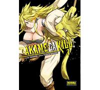 Akame Ga Kill! 03 (de 15)