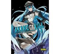 AKAME GA KILL! 04