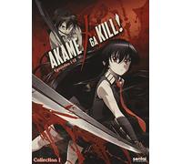 Akame Ga Kill 1 [Edizione: Stati Uniti] [Italia] [DVD]