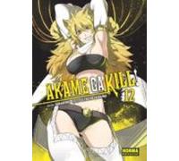 akame ga kill! 12 (de 15)