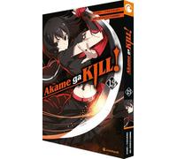 Akame ga KILL! 13